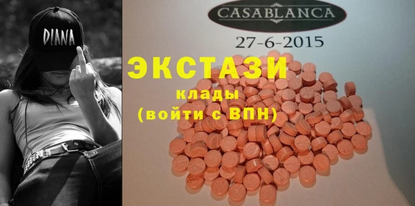 индика Магас