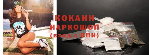 индика Магас