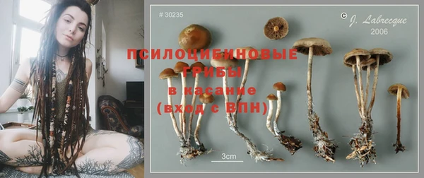 крисы Майский