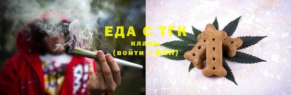 индика Магас