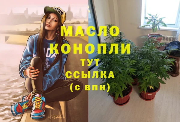 индика Магас