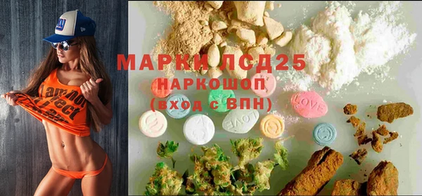 индика Магас