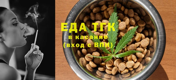 индика Магас