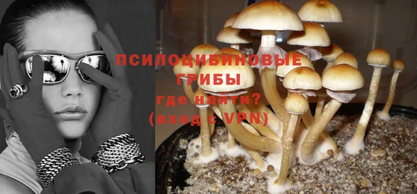индика Магас