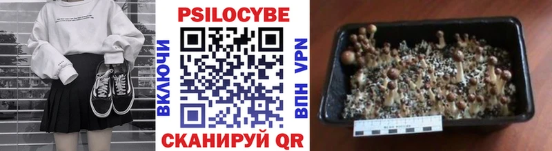 Псилоцибиновые грибы прущие грибы  Онега 